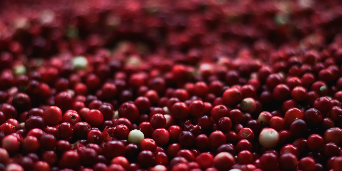 7 Fall Foods that May Boost Fertility