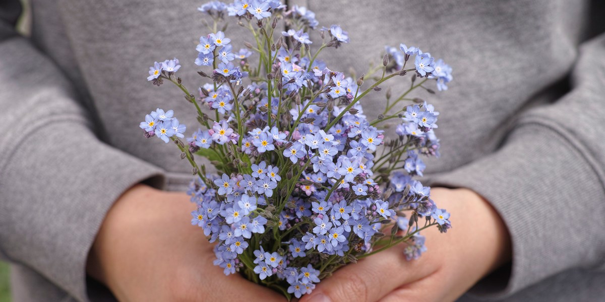 Helpful Resources for Pregnancy and Infant Loss Awareness Month